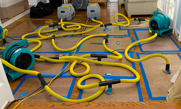 Professional Basement Flood Cleanup technician working in Osage, MN